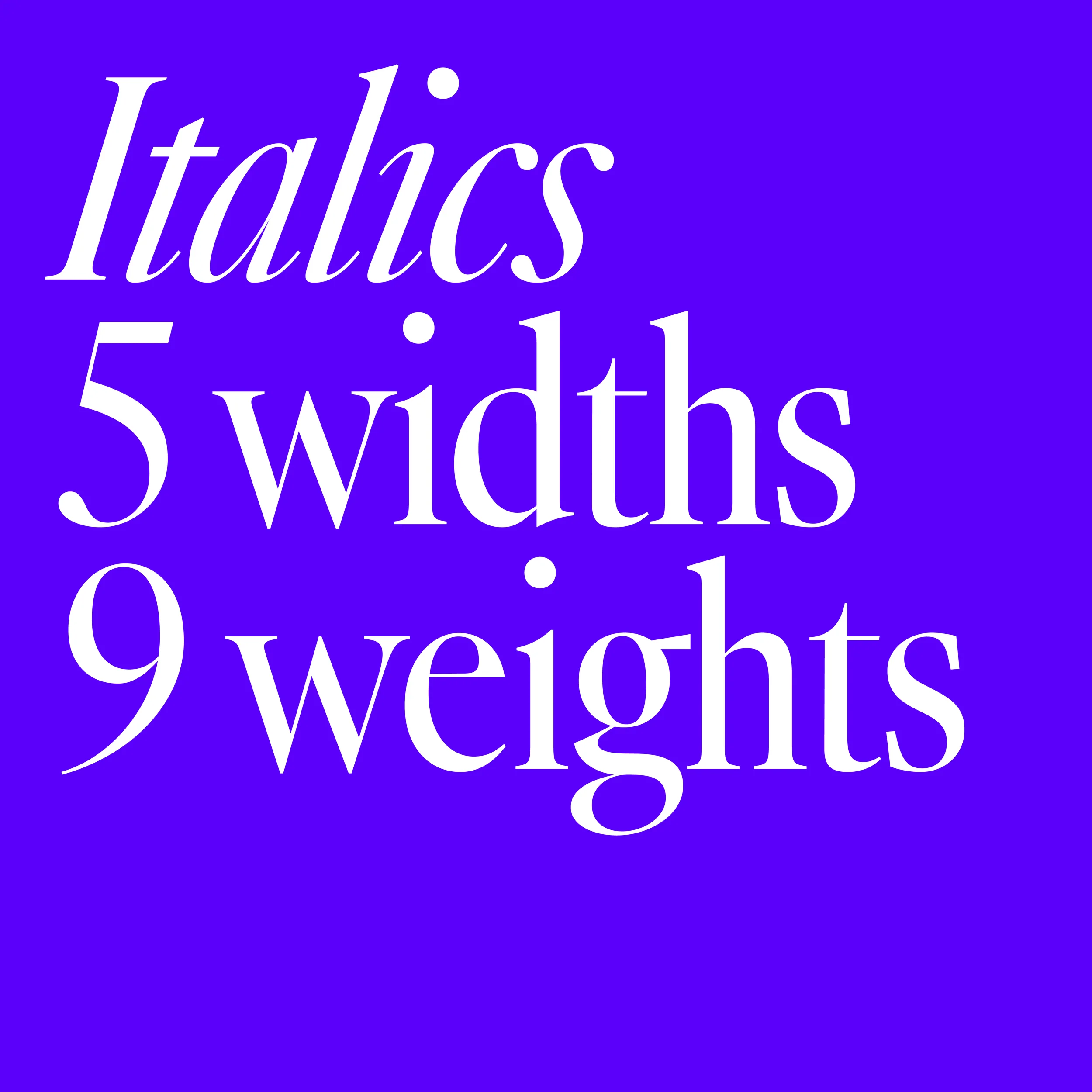 Caslon NG - Image 3